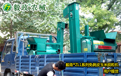 陜西毅政農(nóng)業(yè)機械有限公司,毅政,免剝皮,玉米脫粒機,發(fā)貨照片